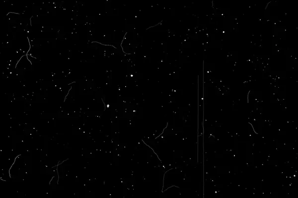 Negative scanner dust overlay preview