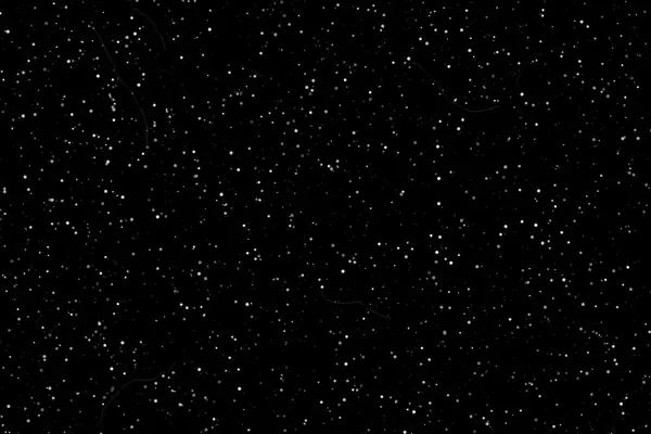 Slide scan dust overlay preview