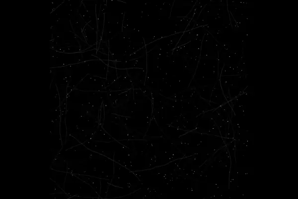 Square scratches overlay (1:1) overlay preview