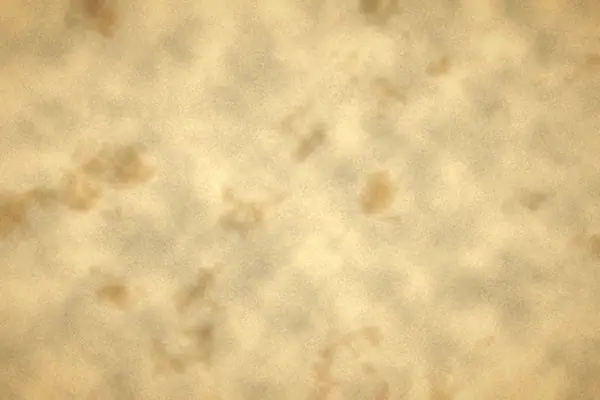 Antique map paper overlay preview