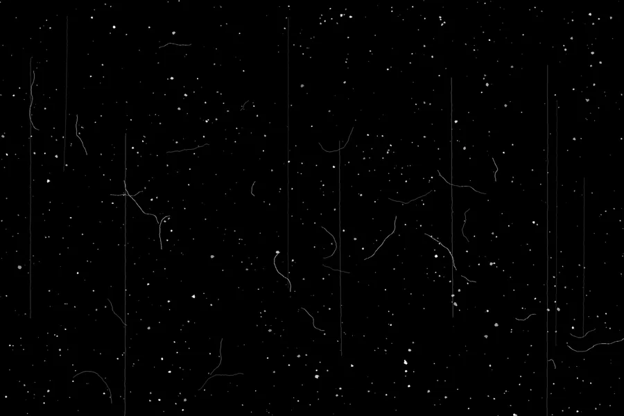 Archive print wear overlay preview