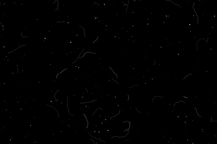 Hair and fibres overlay preview