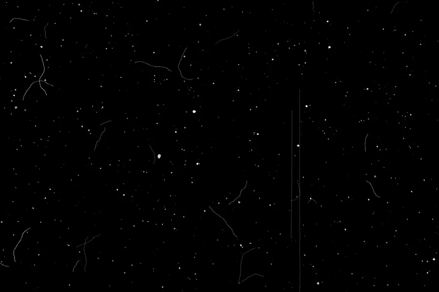 Negative scanner dust overlay preview