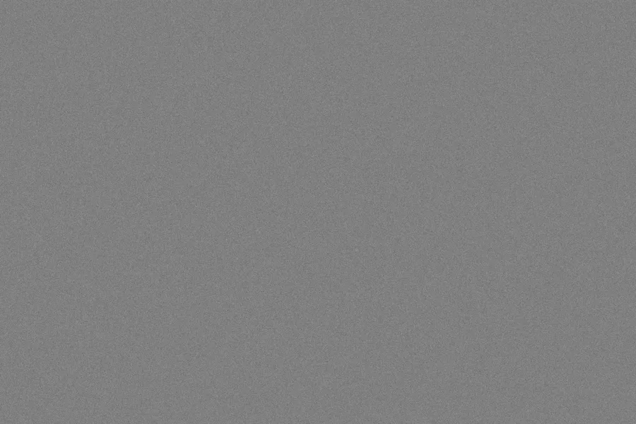 ISO 100 fine grain overlay preview